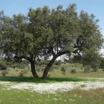 Βίλα La Dehesa De Campoviejo Robledillo de Trujillo