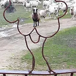 La Dehesa De Campoviejo * Robledillo de Trujillo