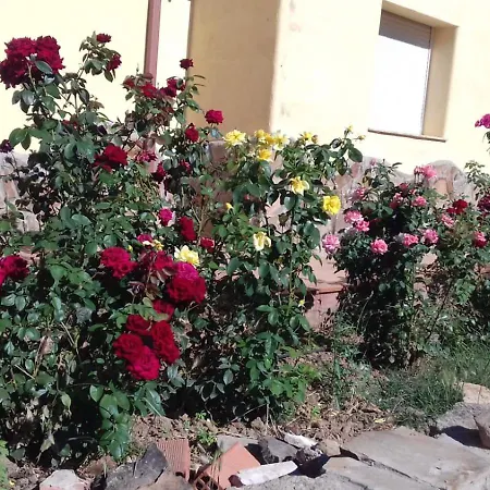 La Dehesa De Campoviejo Villa Robledillo de Trujillo