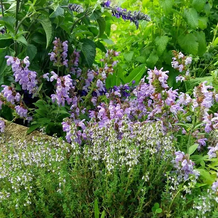 Villa La Dehesa De Campoviejo *