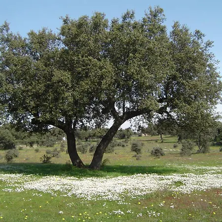 Βίλα La Dehesa De Campoviejo Robledillo de Trujillo