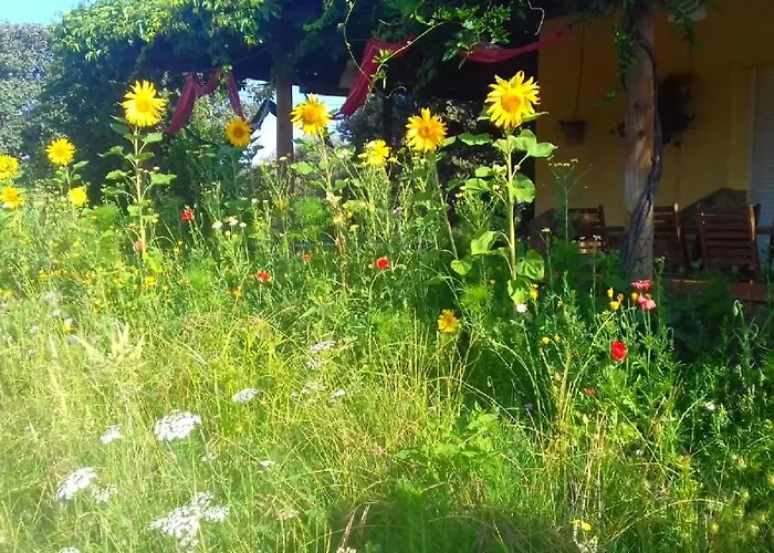 La Dehesa De Campoviejo Villa Robledillo de Trujillo