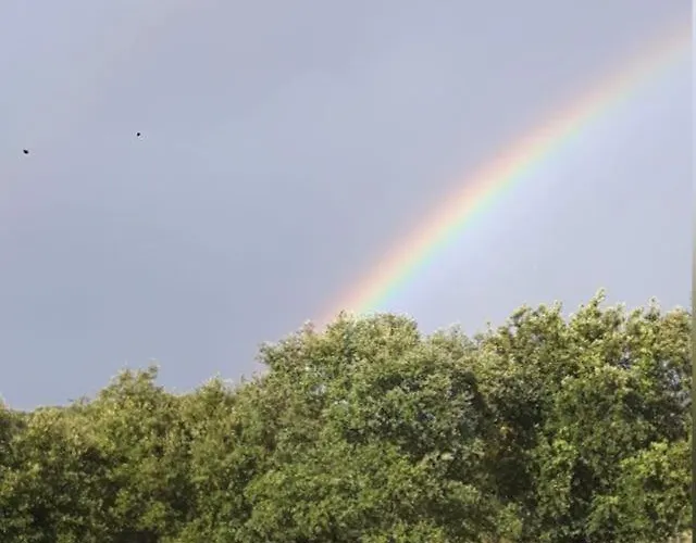 Villa La Dehesa De Campoviejo