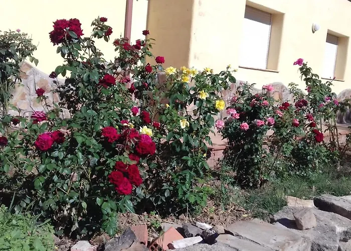 La Dehesa De Campoviejo Villa Robledillo de Trujillo