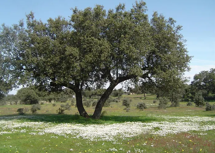 Villa La Dehesa De Campoviejo Robledillo de Trujillo