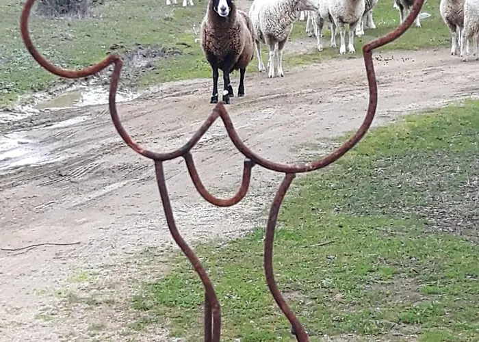 La Dehesa De Campoviejo * Robledillo de Trujillo