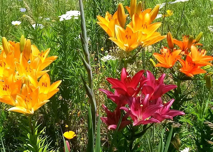 La Dehesa De Campoviejo